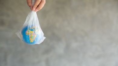 Photo of Urge programas para sustituir bolsas de plástico por materiales biodegradables