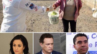 Photo of INE ordena a políticos del PAN en Querétaro, retirar publicidad  donde se promocionaron a costa del Covid 19