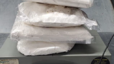 Photo of SEDENA y Guardia Nacional aseguran posible cocaína en el Aeropuerto Intercontinental de Querétaro.