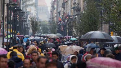 Photo of Fortalecimiento de la economía popular para lograr la recuperación: Estrategia de Gobierno Federal
