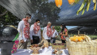 Photo of Avanza programa «Sembrando Vida» en el sureste mexicano.