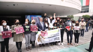 Photo of Senado aprueba reforma para prohibir uso de animales en pruebas de productos cosméticos