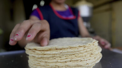 Photo of AMLO informa sobre las acciones para evitar el alza en los precios de la tortilla.
