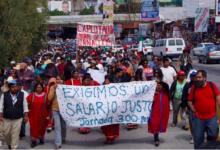 Photo of ¿Qué pasó con los puestos de trabajo afiliados al IMSS con la duplicación del salario mínimo y ulteriores alzas en la frontera norte?