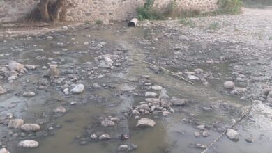 Photo of CONTAMINACIÓN Y REPRESIÓN EN TOLIMÁN