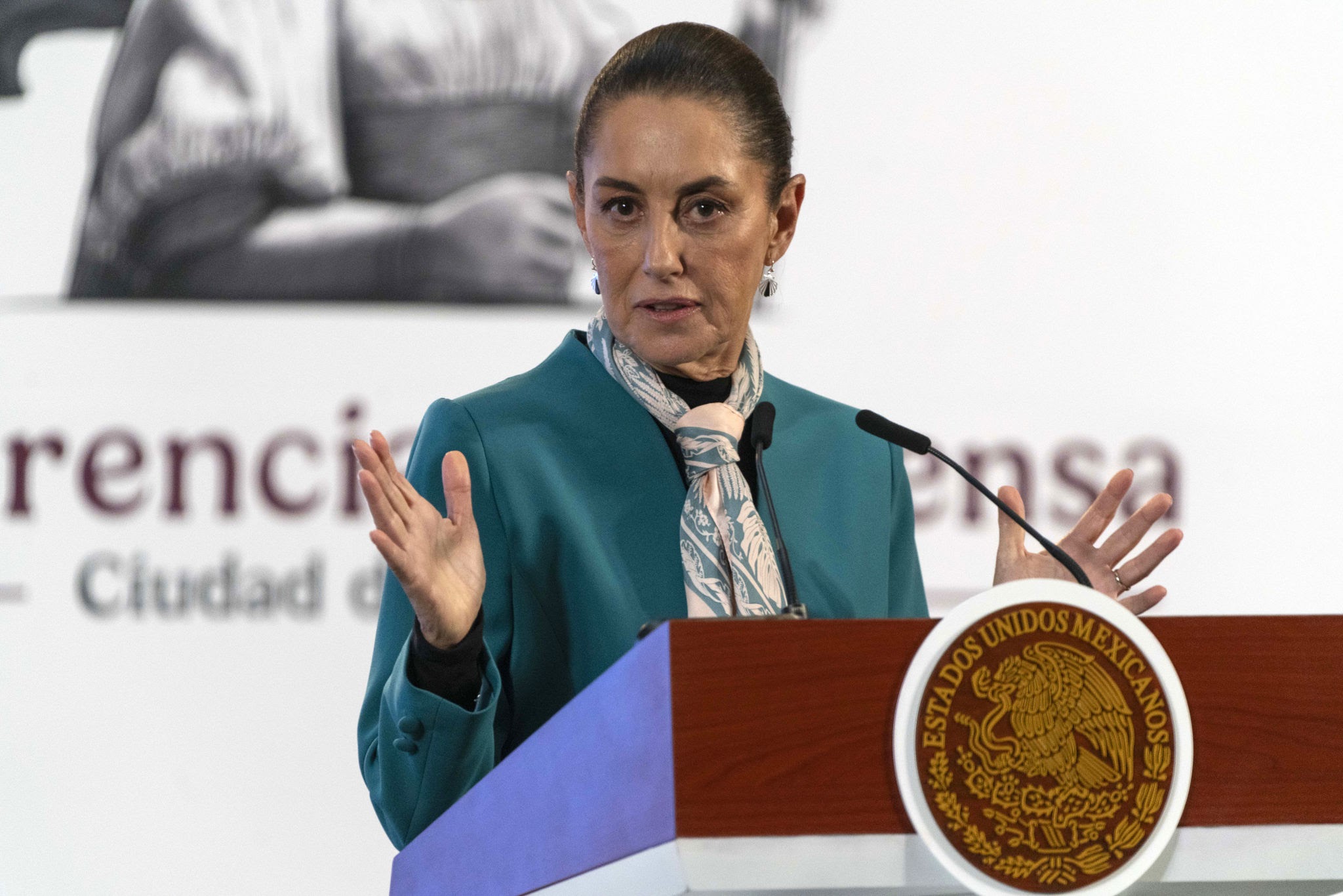 Photo of México rechaza informe del Comité de Desapariciones Forzadas de la ONU.
