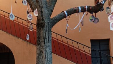 Photo of EL CAMINO DE LA CRUZ Y LA DESAPARICIÓN DE PERSONAS