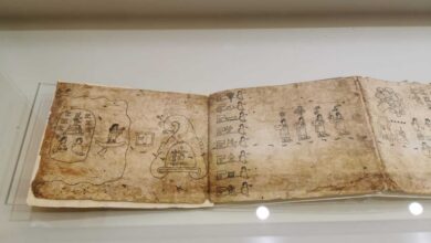 Photo of Inicia la cuenta regresiva para el cierre de la muestra Códices de México, en el Museo Regional de Sonora.