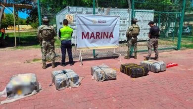 Photo of En el recinto Portuario de Manzanillo, Colima, Marina Asegura Presunta Carga Ilícita.